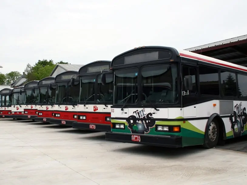 7 "The Bus" busses parked
